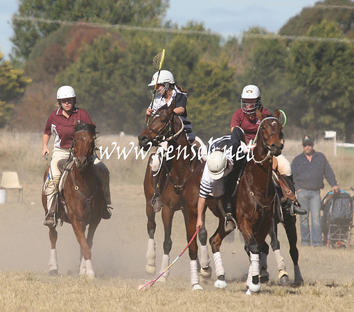 BungendorePolocrosse2013_Sun_1077