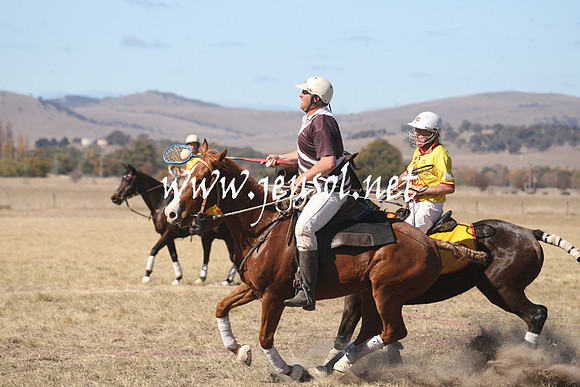 BungendorePolocrosse2013_Sun_1431