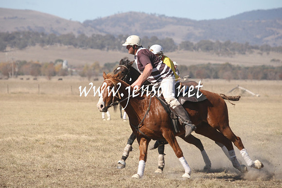 BungendorePolocrosse2013_Sun_1434