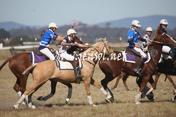 BungendorePolocrosse2013_Sun_1222