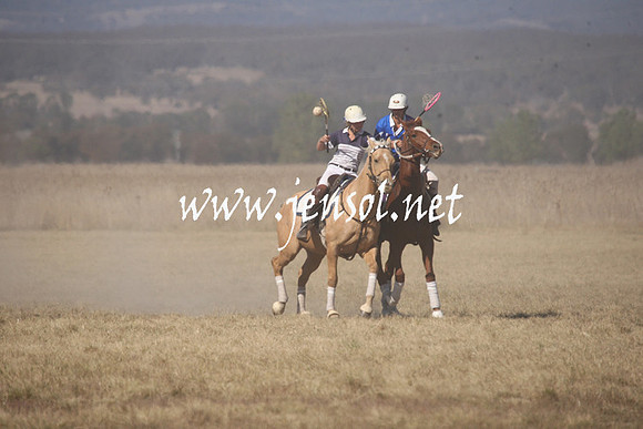 BungendorePolocrosse2013_Sun_1182