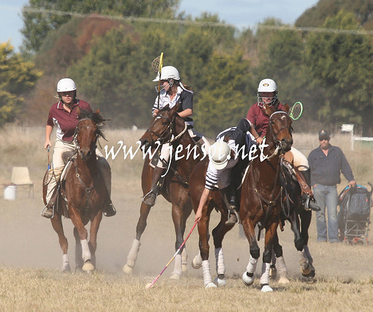 BungendorePolocrosse2013_Sun_1076
