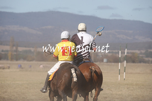BungendorePolocrosse2013_Sun_1432