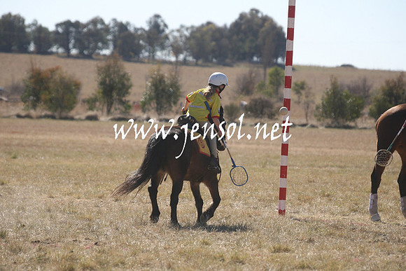 BungendorePolocrosse2013_Sun_1270