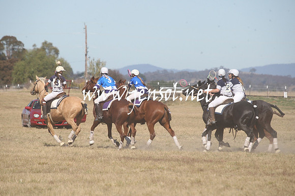BungendorePolocrosse2013_Sun_1377