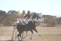 BungendorePolocrosse2013_Sun_0851
