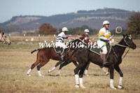 BungendorePolocrosse2013_Sun_0869