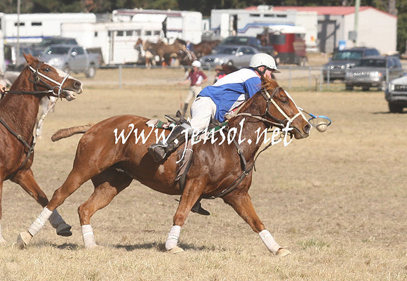 BungendorePolocrosse2013_Sun_1088