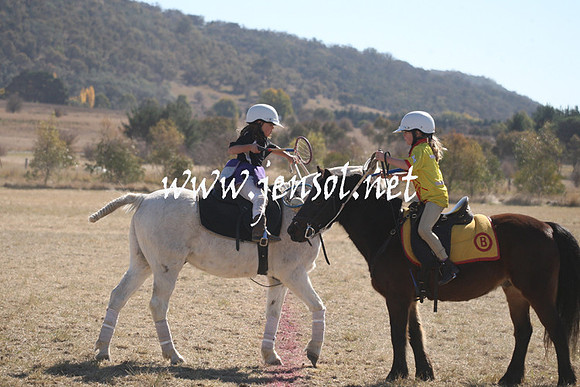 BungendorePolocrosse2013_Sun_1266