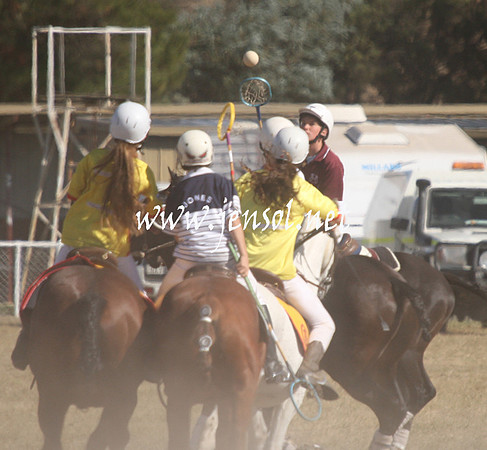 BungendorePolocrosse2013_Sun_1033