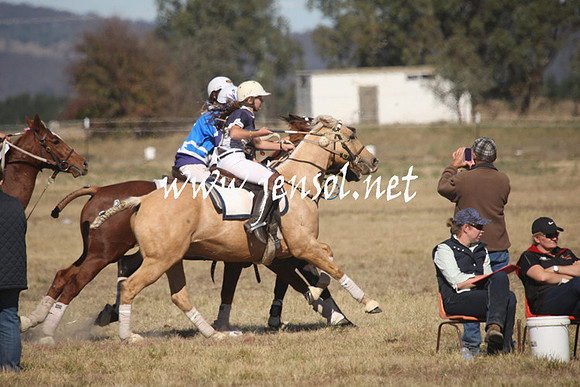 BungendorePolocrosse2013_Sun_1225