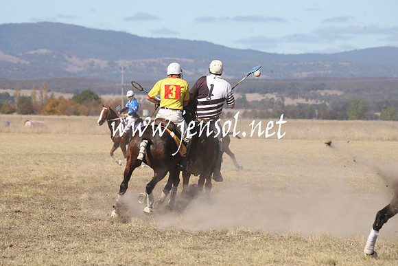 BungendorePolocrosse2013_Sun_1425