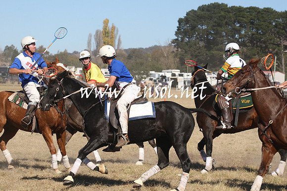 BungendorePolocrosse2013_Sun_0913