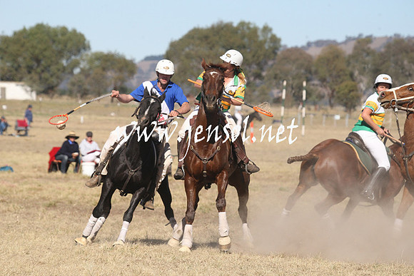 BungendorePolocrosse2013_Sun_0947