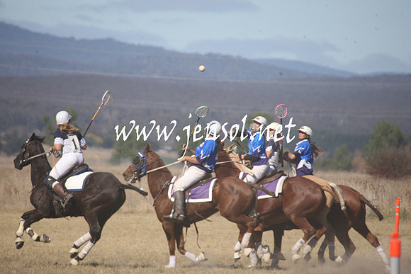 BungendorePolocrosse2013_Sun_1380