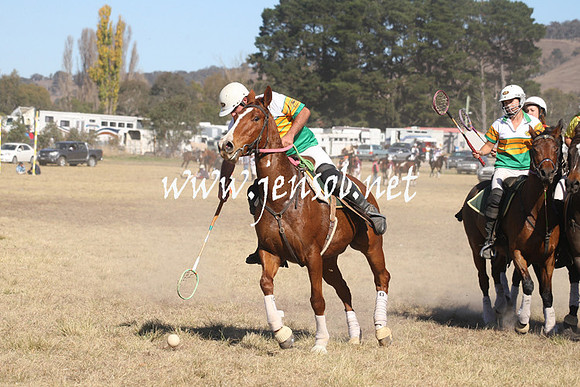 BungendorePolocrosse2013_Sun_0999