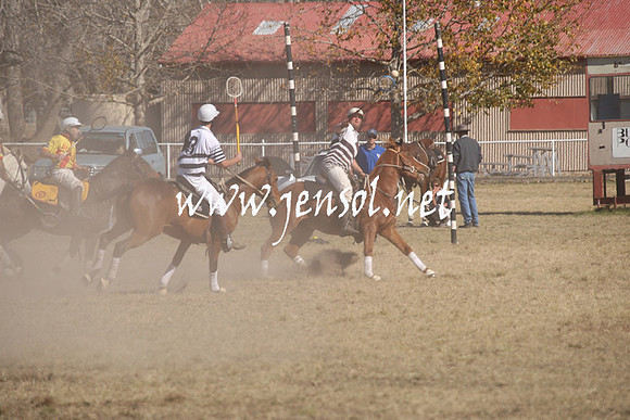 BungendorePolocrosse2013_Sun_1239
