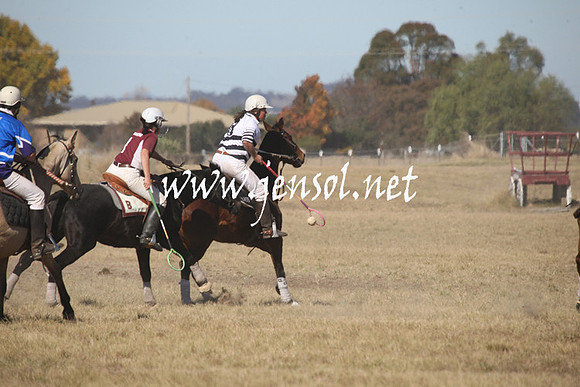 BungendorePolocrosse2013_Sun_0864