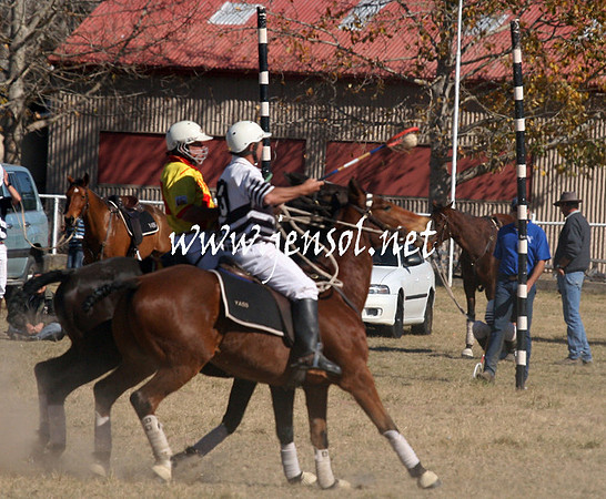 BungendorePolocrosse2013_Sun_1346