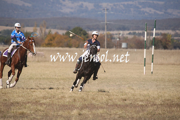 BungendorePolocrosse2013_Sun_1419