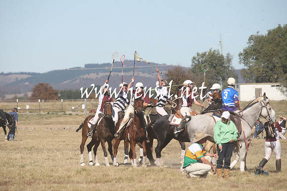 BungendorePolocrosse2013_Sun_1075