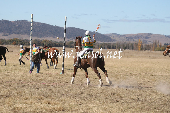 BungendorePolocrosse2013_Sun_0893