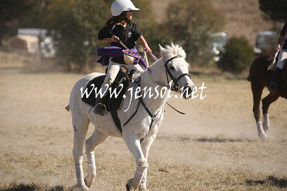 BungendorePolocrosse2013_Sun_1259