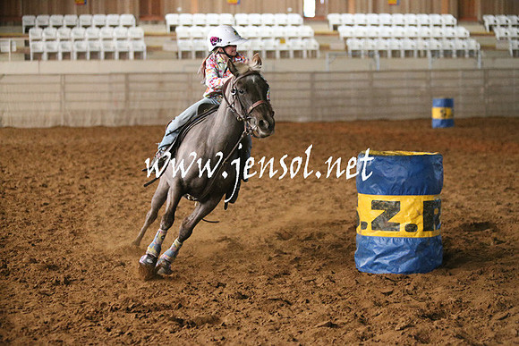 RDAug2013_0023