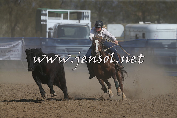 CountyofCumberland2015_1873