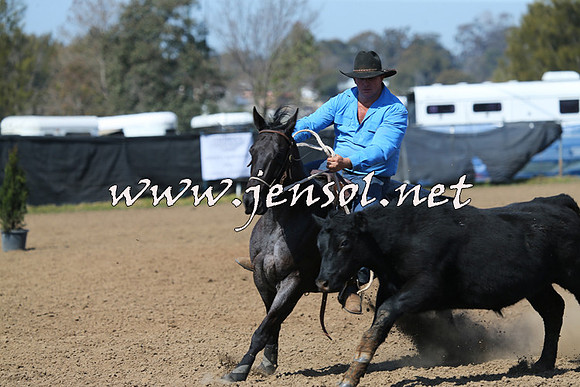 CountyofCumberland2015_1809