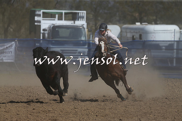 CountyofCumberland2015_1874