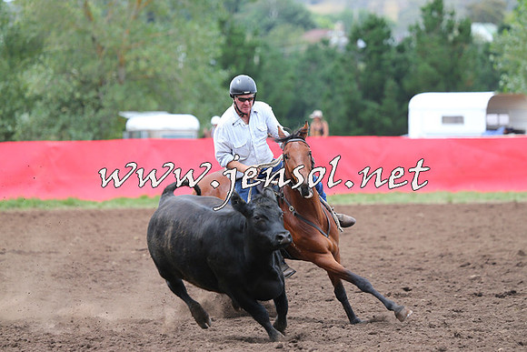 NimmitabelCampdraft2015_1648