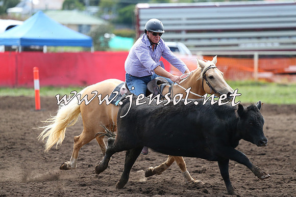 NimmitabelCampdraft2015_1224