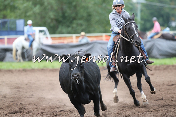 NimmitabelCampdraft2015_1618