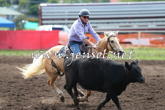 NimmitabelCampdraft2015_1225