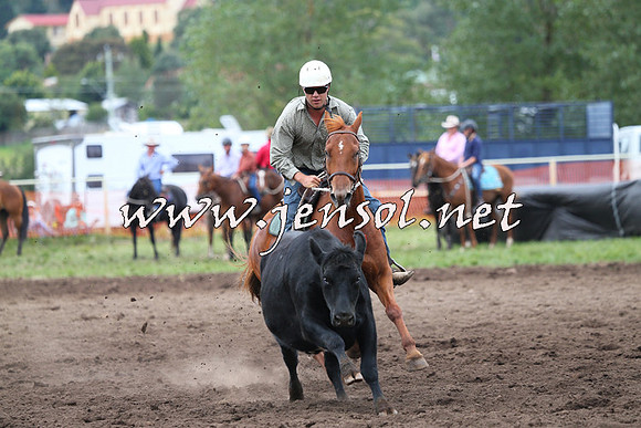 NimmitabelCampdraft2015_1670