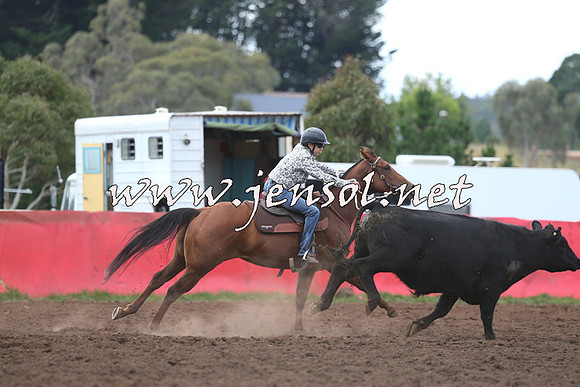 NimmitabelCampdraft2015_1544