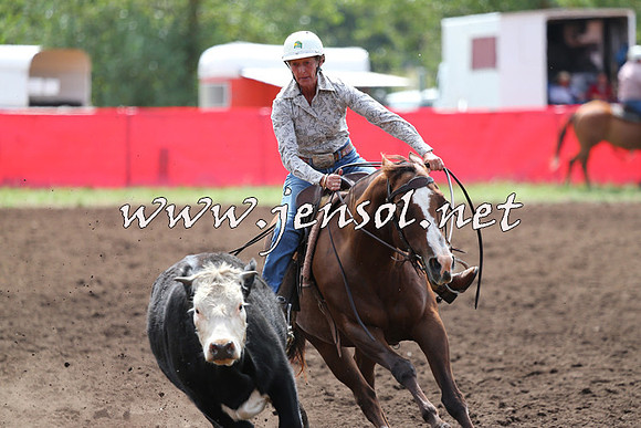 NimmitabelCampdraft2015_1253