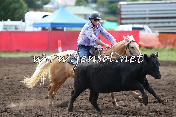 NimmitabelCampdraft2015_1226