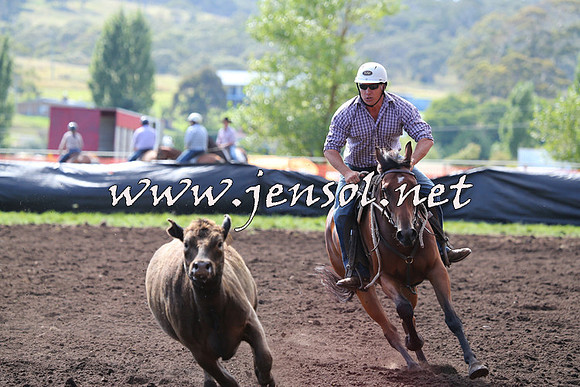 NimmitabelCampdraft2015_1105