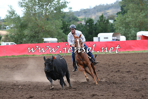 NimmitabelCampdraft2015_1722