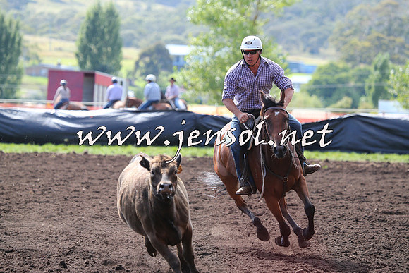 NimmitabelCampdraft2015_1104