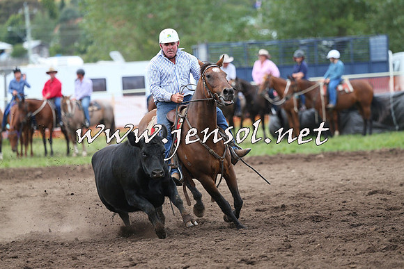 NimmitabelCampdraft2015_1697