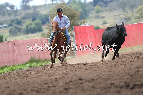 NimmitabelCampdraft2015_1600