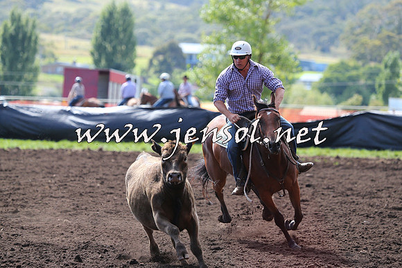NimmitabelCampdraft2015_1106