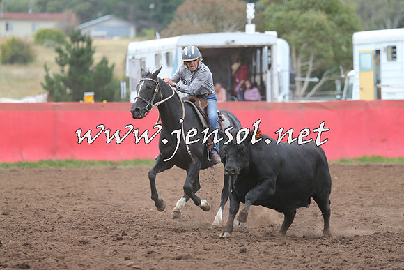 NimmitabelCampdraft2015_1631