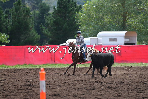 NimmitabelCampdraft2015_1191