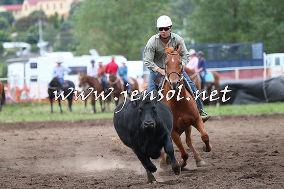 NimmitabelCampdraft2015_1678