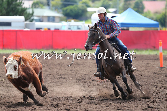 NimmitabelCampdraft2015_1167