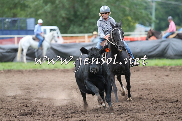 NimmitabelCampdraft2015_1624
